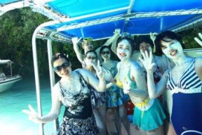 娱乐吃瓜君cindy,揭秘娱乐圈幕后故事