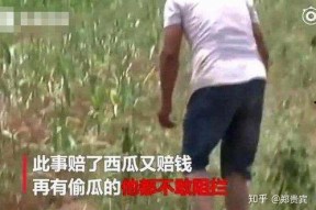 镇平吃瓜事件网红男女,网红男女的争议瞬间